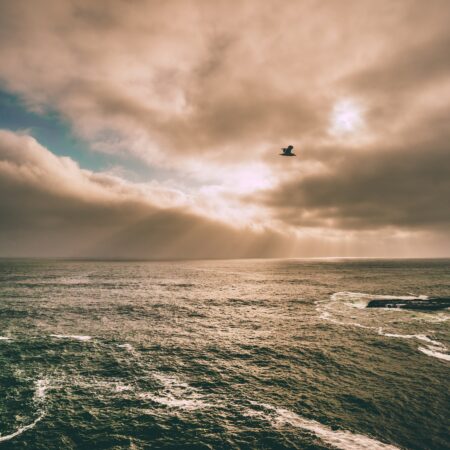 Photo by Joseph Barrientos on Unsplash